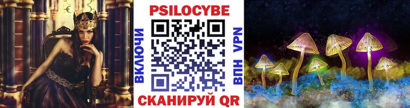 Галлюциногенные грибы GOLDEN TEACHER  цены наркотик  Елабуга 